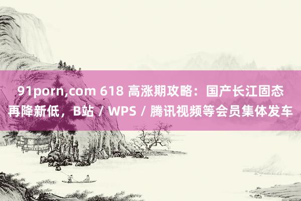 91porn，com 618 高涨期攻略：国产长江固态再降新低，B站 / WPS / 腾讯视频等会员集体发车