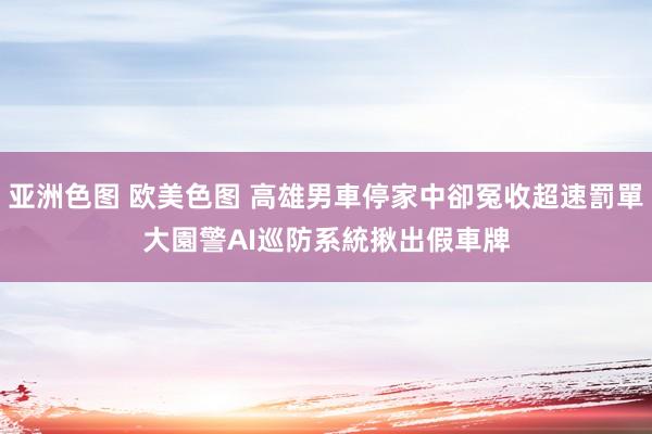 亚洲色图 欧美色图 高雄男車停家中卻冤收超速罰單　大園警AI巡防系統揪出假車牌