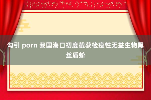 勾引 porn 我国港口初度截获检疫性无益生物黑丝盾蚧
