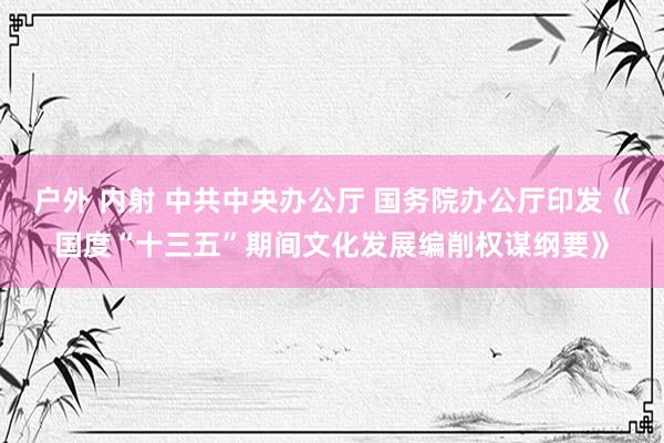 户外 内射 中共中央办公厅 国务院办公厅印发《国度“十三五”期间文化发展编削权谋纲要》
