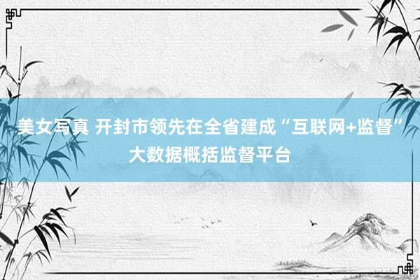 美女写真 开封市领先在全省建成“互联网+监督”大数据概括监督平台