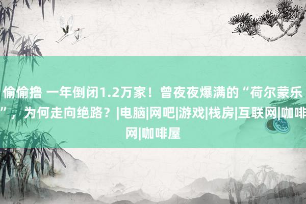 偷偷撸 一年倒闭1.2万家！曾夜夜爆满的“荷尔蒙乐土”，为何走向绝路？|电脑|网吧|游戏|栈房|互联网|咖啡屋