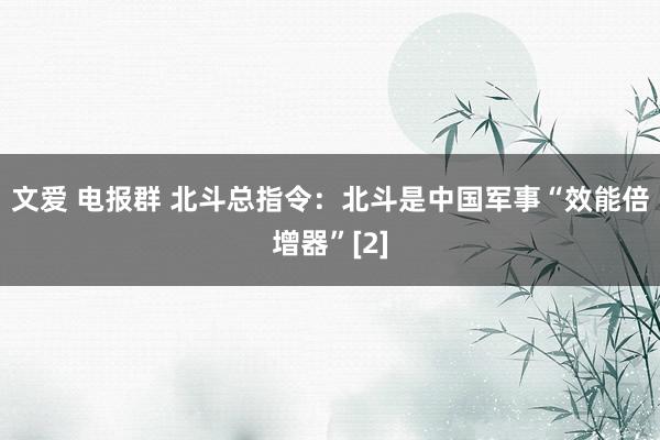 文爱 电报群 北斗总指令：北斗是中国军事“效能倍增器”[2]