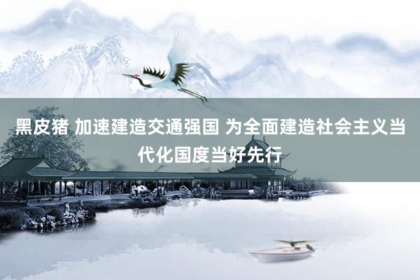 黑皮猪 加速建造交通强国 为全面建造社会主义当代化国度当好先行