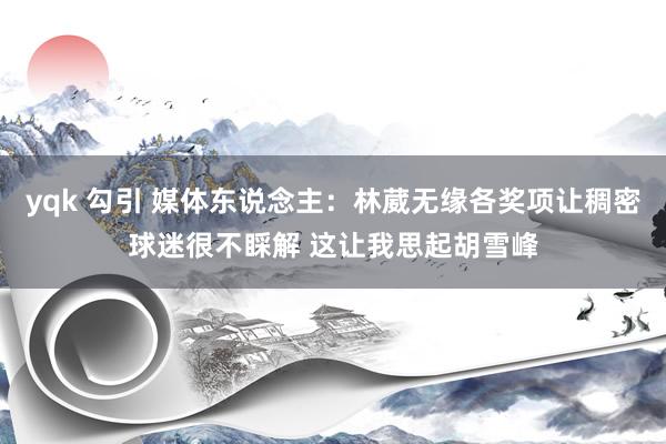 yqk 勾引 媒体东说念主：林葳无缘各奖项让稠密球迷很不睬解 这让我思起胡雪峰